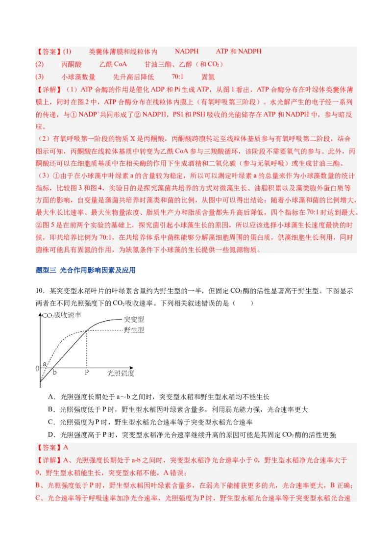 《第11讲光合作用（专项训练）（福建专用）（教师版）_高考一二三轮复习_生物_2026年高考生物一轮_2026年高考生物一轮课件+讲义+练习（福建专用）-G328》第7页预览