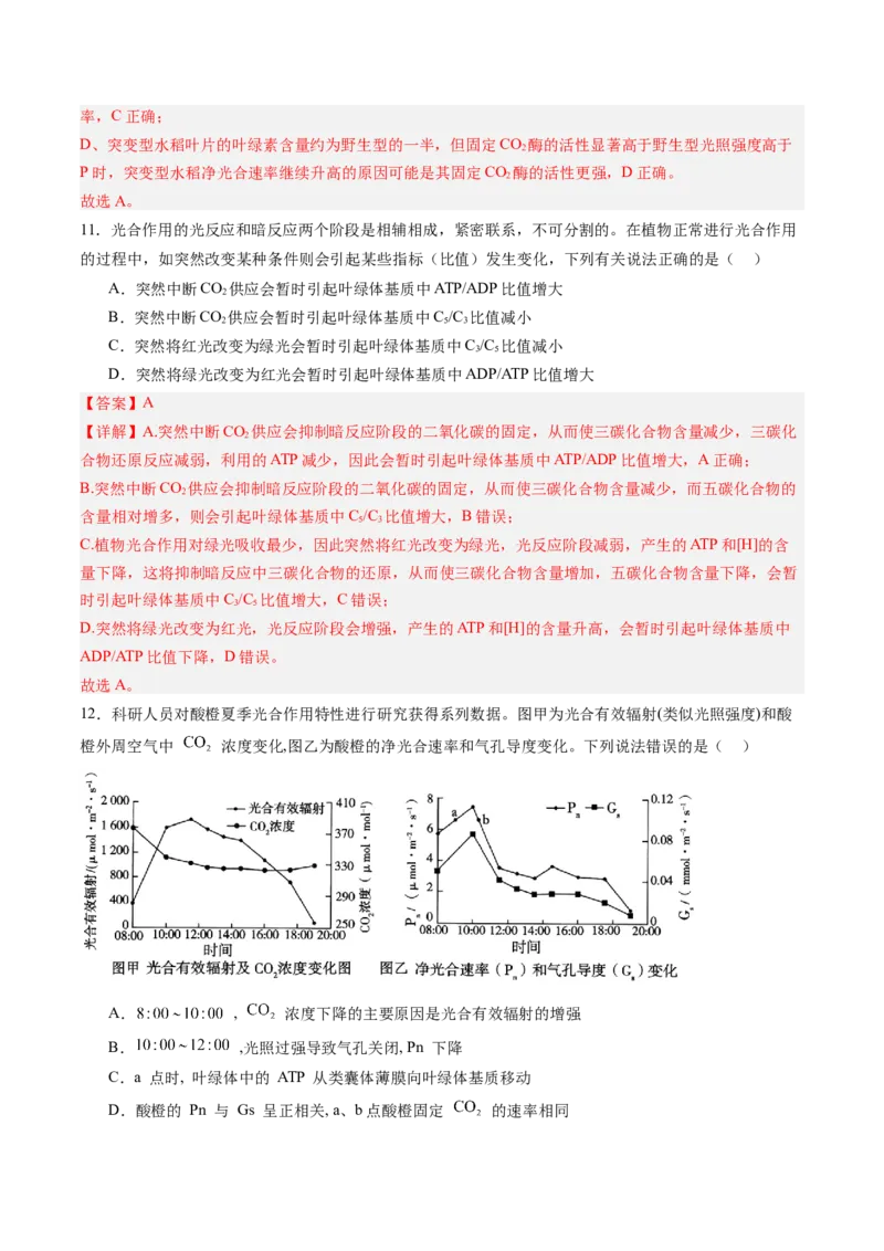 《第11讲光合作用（专项训练）（福建专用）（教师版）_高考一二三轮复习_生物_2026年高考生物一轮_2026年高考生物一轮课件+讲义+练习（福建专用）-G328》第8页预览