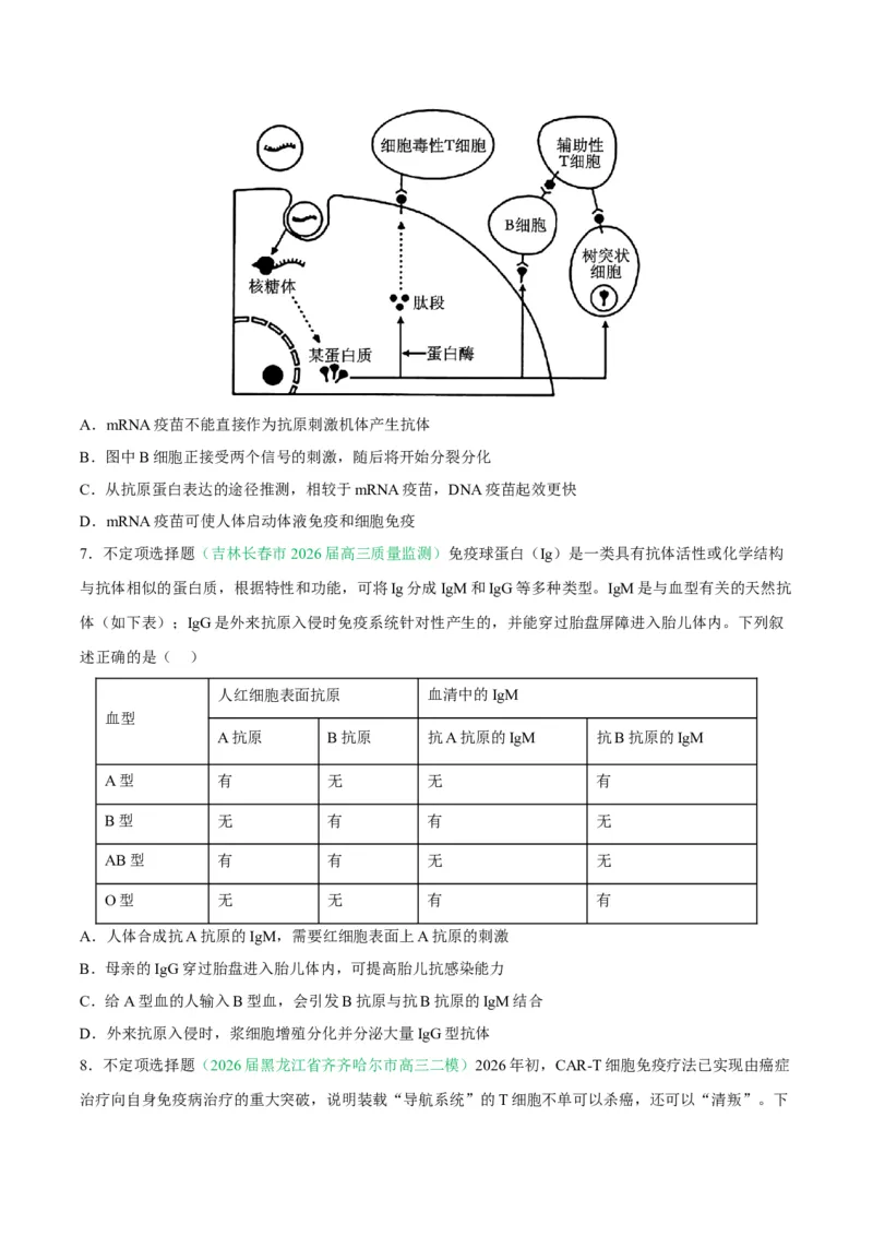 《专题08免疫与植物生命活动的调节（2大考点）（学生版）(1)_高考一二三轮复习_生物_2027年高考生物专项_2026年高考生物二模试题分类汇编（黑吉辽蒙专用）-G295_2026版》第3页预览