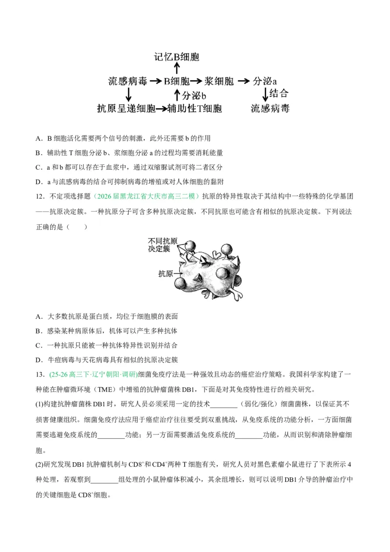 《专题08免疫与植物生命活动的调节（2大考点）（学生版）(1)_高考一二三轮复习_生物_2027年高考生物专项_2026年高考生物二模试题分类汇编（黑吉辽蒙专用）-G295_2026版》第5页预览