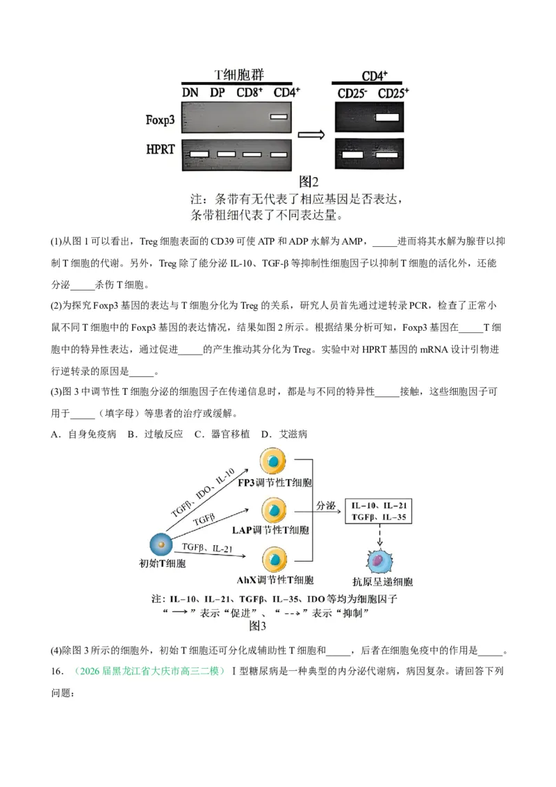 《专题08免疫与植物生命活动的调节（2大考点）（学生版）(1)_高考一二三轮复习_生物_2027年高考生物专项_2026年高考生物二模试题分类汇编（黑吉辽蒙专用）-G295_2026版》第8页预览