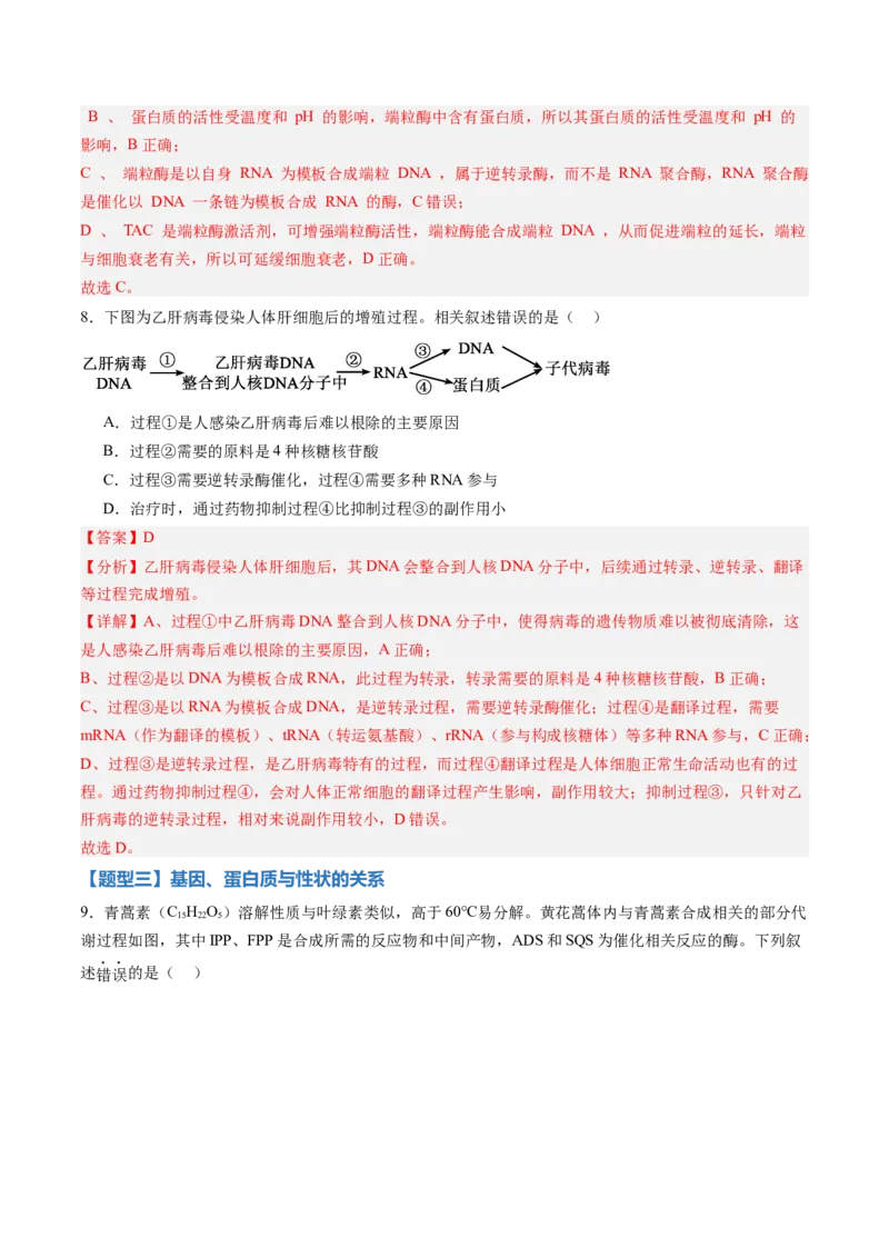 《第19讲基因的表达、基因与性状的关系（专项训练）（黑吉辽蒙专用）（教师版）_高考一二三轮复习_生物_2026年高考生物一轮_2026年高考生物一轮课件+讲义+练习（黑吉辽蒙专用）-G330》第5页预览