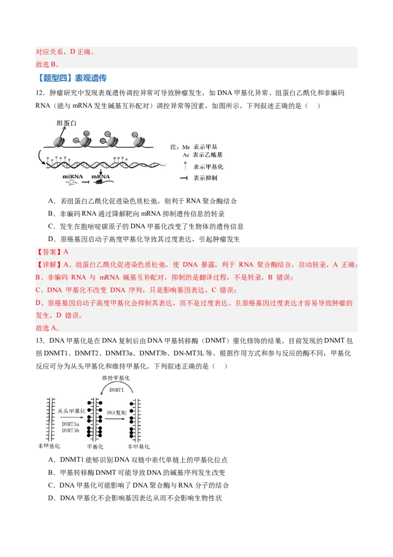 《第19讲基因的表达、基因与性状的关系（专项训练）（黑吉辽蒙专用）（教师版）_高考一二三轮复习_生物_2026年高考生物一轮_2026年高考生物一轮课件+讲义+练习（黑吉辽蒙专用）-G330》第8页预览