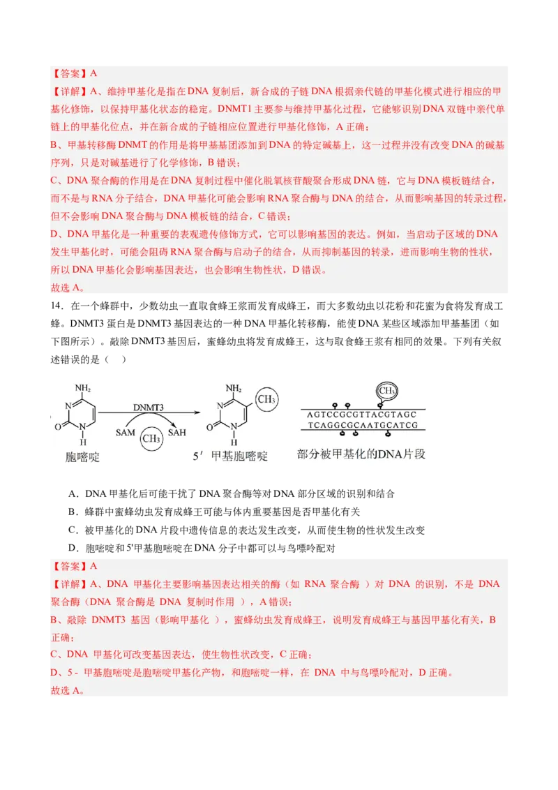 《第19讲基因的表达、基因与性状的关系（专项训练）（黑吉辽蒙专用）（教师版）_高考一二三轮复习_生物_2026年高考生物一轮_2026年高考生物一轮课件+讲义+练习（黑吉辽蒙专用）-G330》第9页预览