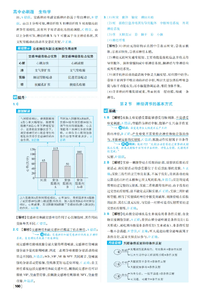 《第2章神经调节_2027高中必刷题_必刷题2027_2027高一高二必刷题_生物_生物选择性必修一人教版_生物选择性必修1_图书答案》第2页预览