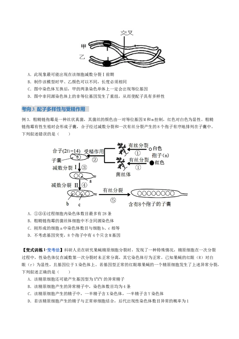 《第13讲减数分裂和受精作用（复习讲义）（全国通用）（学生版）_高考一二三轮复习_生物_2026年高考生物一轮_2026年高考生物一轮复习讲义+练习+课件（新教材新高考）-G55_2026版》第10页预览