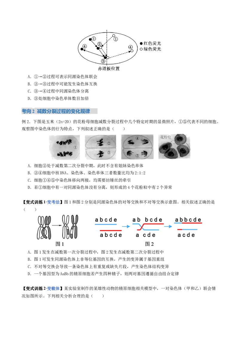 《第13讲减数分裂和受精作用（复习讲义）（全国通用）（学生版）_高考一二三轮复习_生物_2026年高考生物一轮_2026年高考生物一轮复习讲义+练习+课件（新教材新高考）-G55_2026版》第9页预览