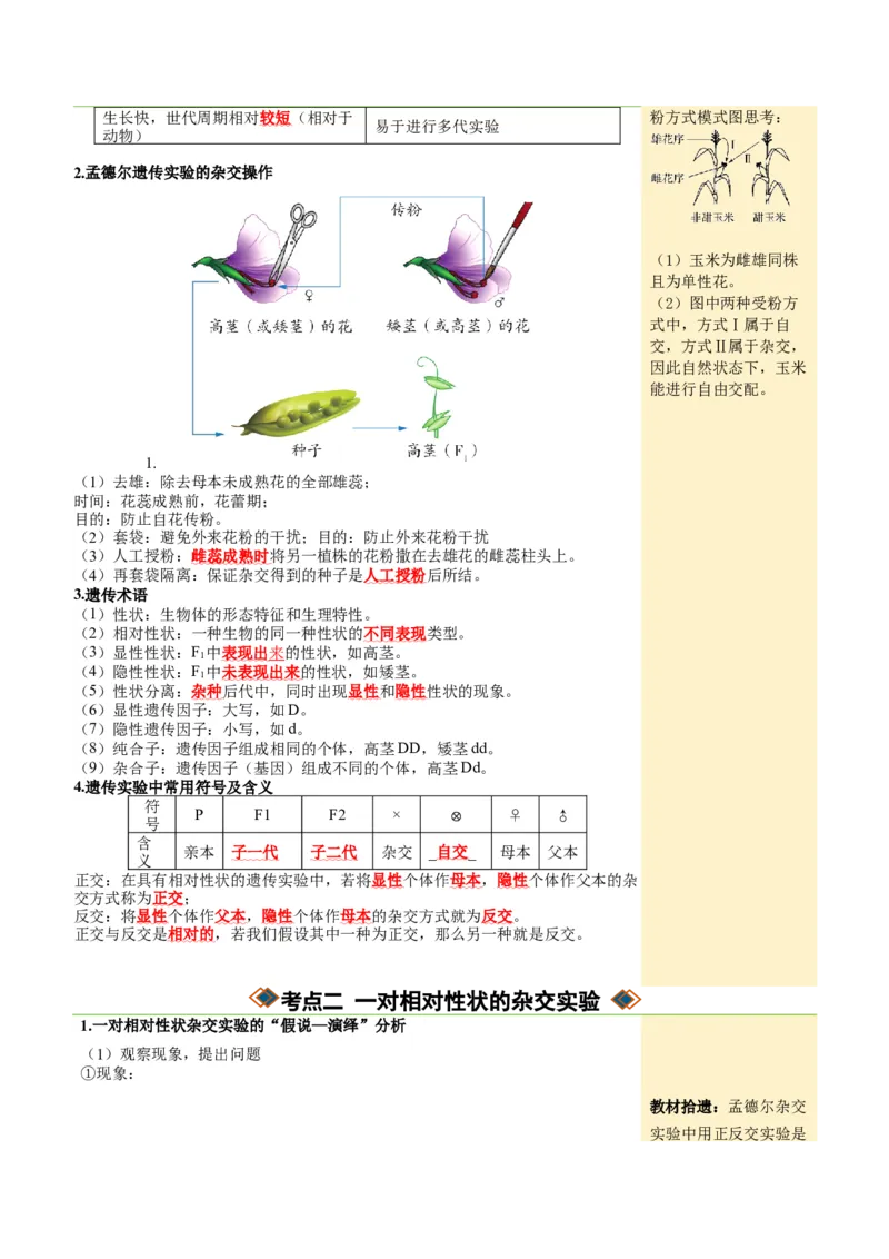 《第15讲分离定律（知识清单）（全国通用）（学生版）_高考一二三轮复习_生物_2027年高考生物一轮_2027年高考生物一轮课件+讲义+练习（黑吉辽蒙专用）-G330_2027版》第4页预览