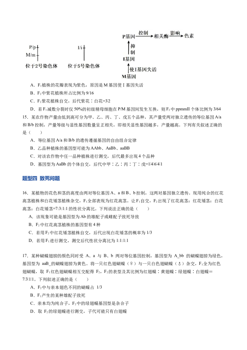 《第16讲自由组合定律（专项训练）（学生版）_高考一二三轮复习_生物_2026年高考生物一轮_2026年高考生物一轮课件+讲义+练习（湖南专用）-G331》第5页预览