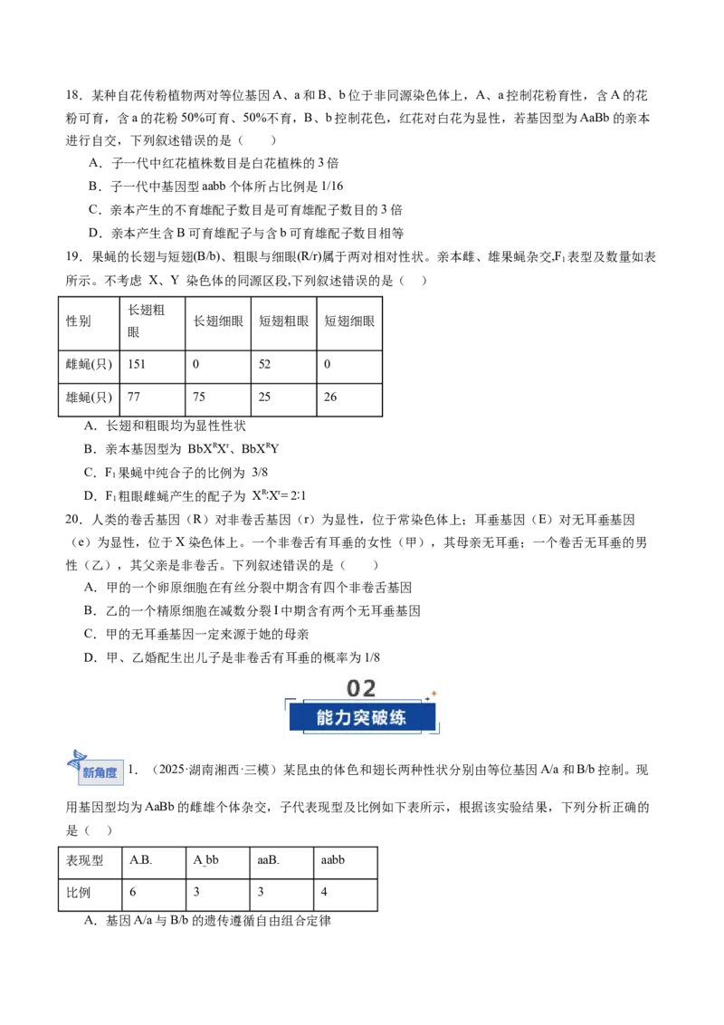 《第16讲自由组合定律（专项训练）（学生版）_高考一二三轮复习_生物_2026年高考生物一轮_2026年高考生物一轮课件+讲义+练习（湖南专用）-G331》第6页预览