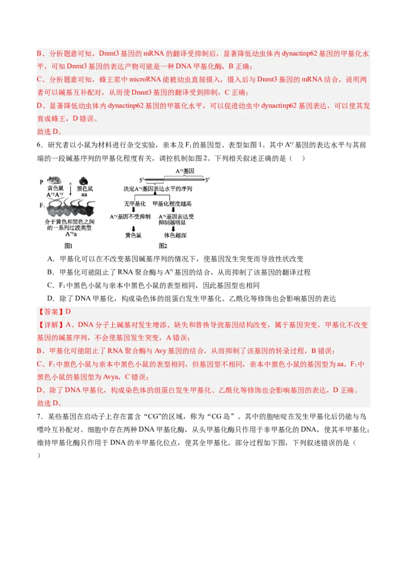《第23讲基因与性状的关系（专项训练）（福建专用）（教师版）_高考一二三轮复习_生物_2026年高考生物一轮_2026年高考生物一轮课件+讲义+练习（福建专用）-G328》第4页预览