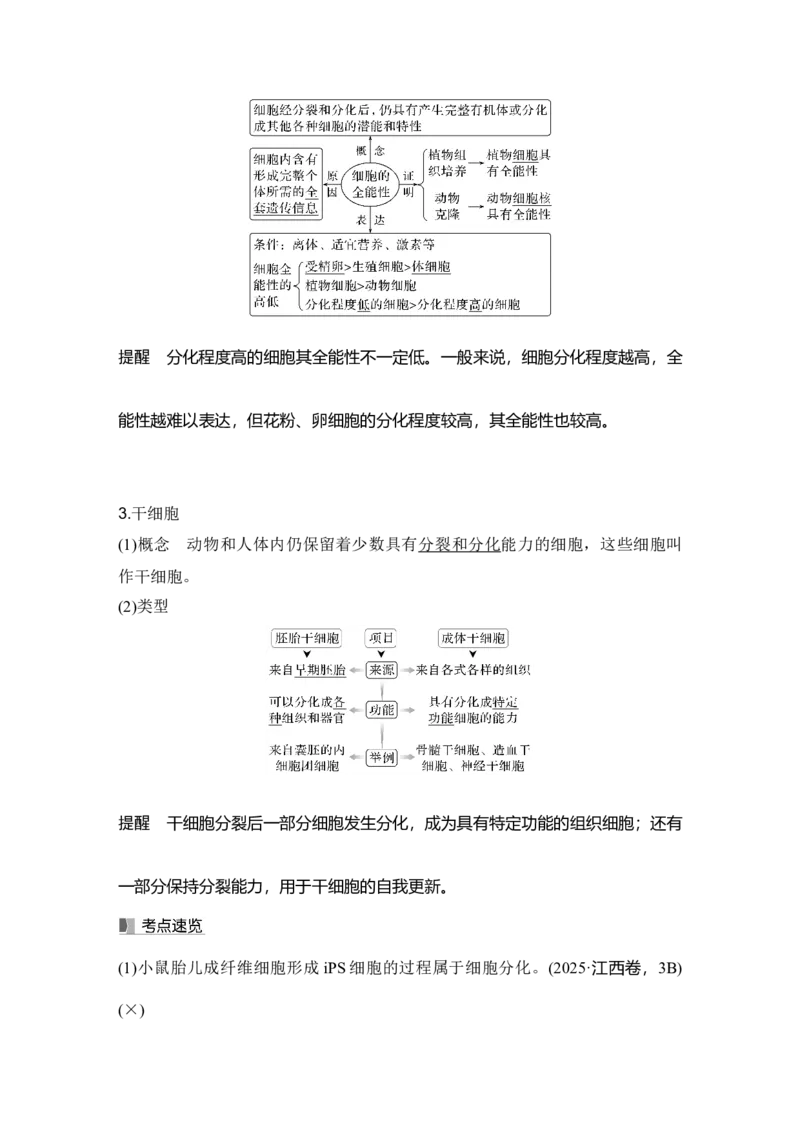 《第15讲细胞的分化、衰老和死亡_高考一二三轮复习_生物_2027年高考生物一轮_12027年高考生物一轮复习讲义（考点详解）》第2页预览