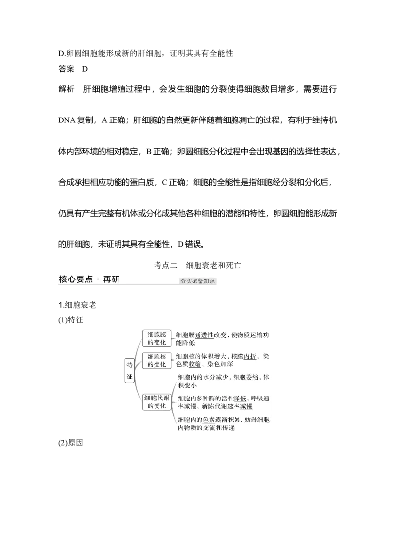 《第15讲细胞的分化、衰老和死亡_高考一二三轮复习_生物_2027年高考生物一轮_12027年高考生物一轮复习讲义（考点详解）》第7页预览