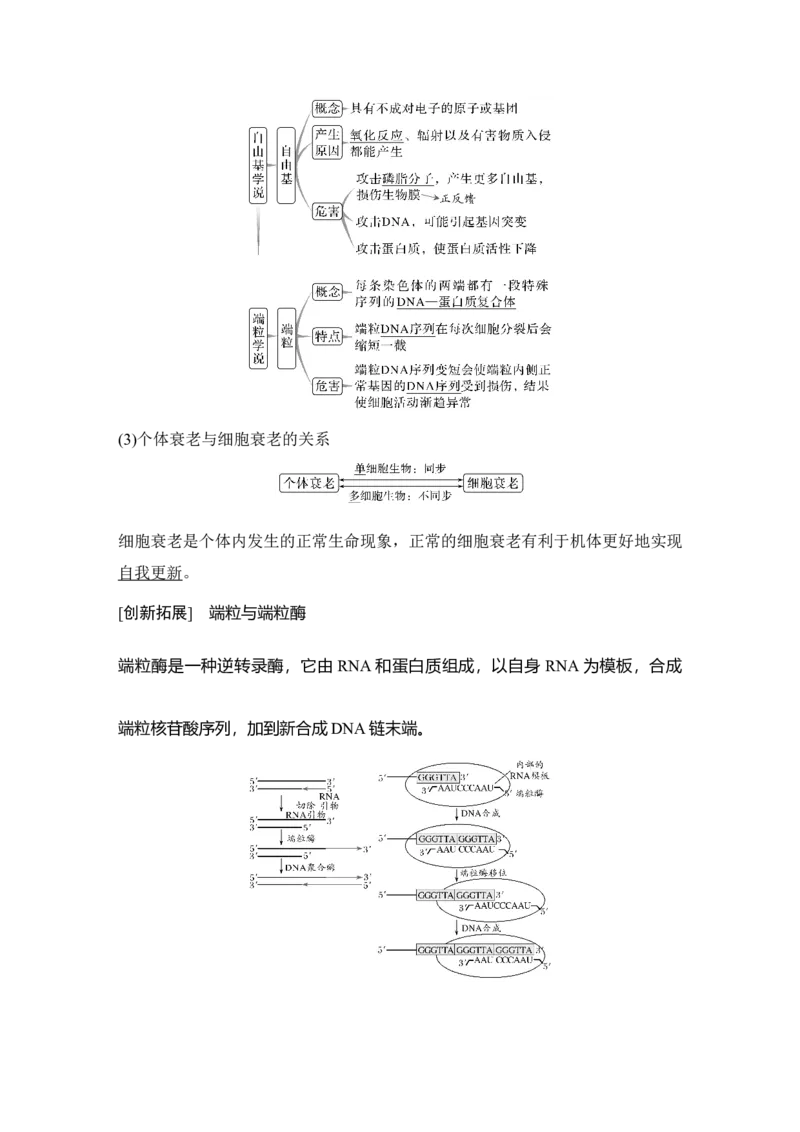《第15讲细胞的分化、衰老和死亡_高考一二三轮复习_生物_2027年高考生物一轮_12027年高考生物一轮复习讲义（考点详解）》第8页预览
