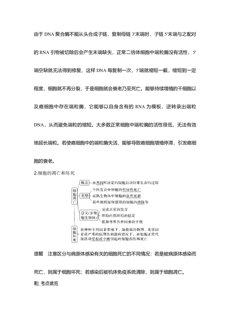 《第15讲细胞的分化、衰老和死亡_高考一二三轮复习_生物_2027年高考生物一轮_12027年高考生物一轮复习讲义（考点详解）》第9页预览