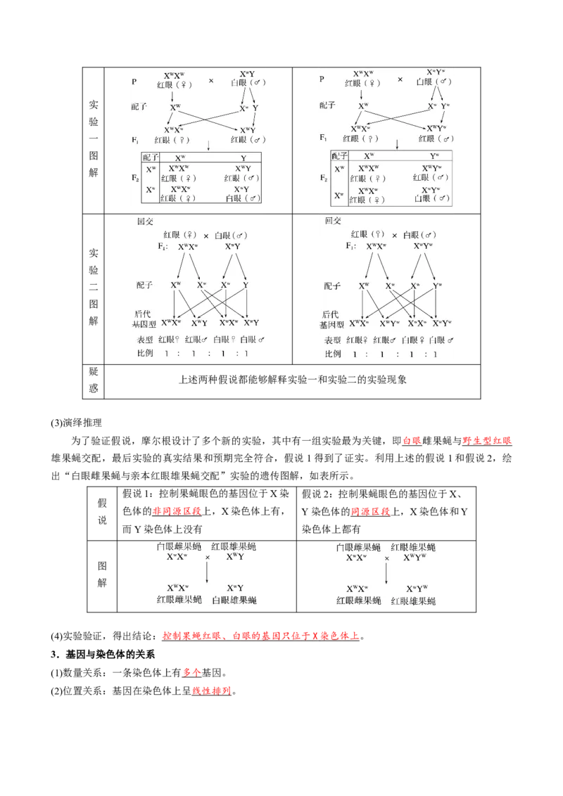 《第17讲伴性遗传和人类遗传病（复习讲义）（全国通用）（教师版）_高考一二三轮复习_生物_2026年高考生物一轮_2026年高考生物一轮复习讲义+练习+课件（新教材新高考）-G55_2026版》第6页预览