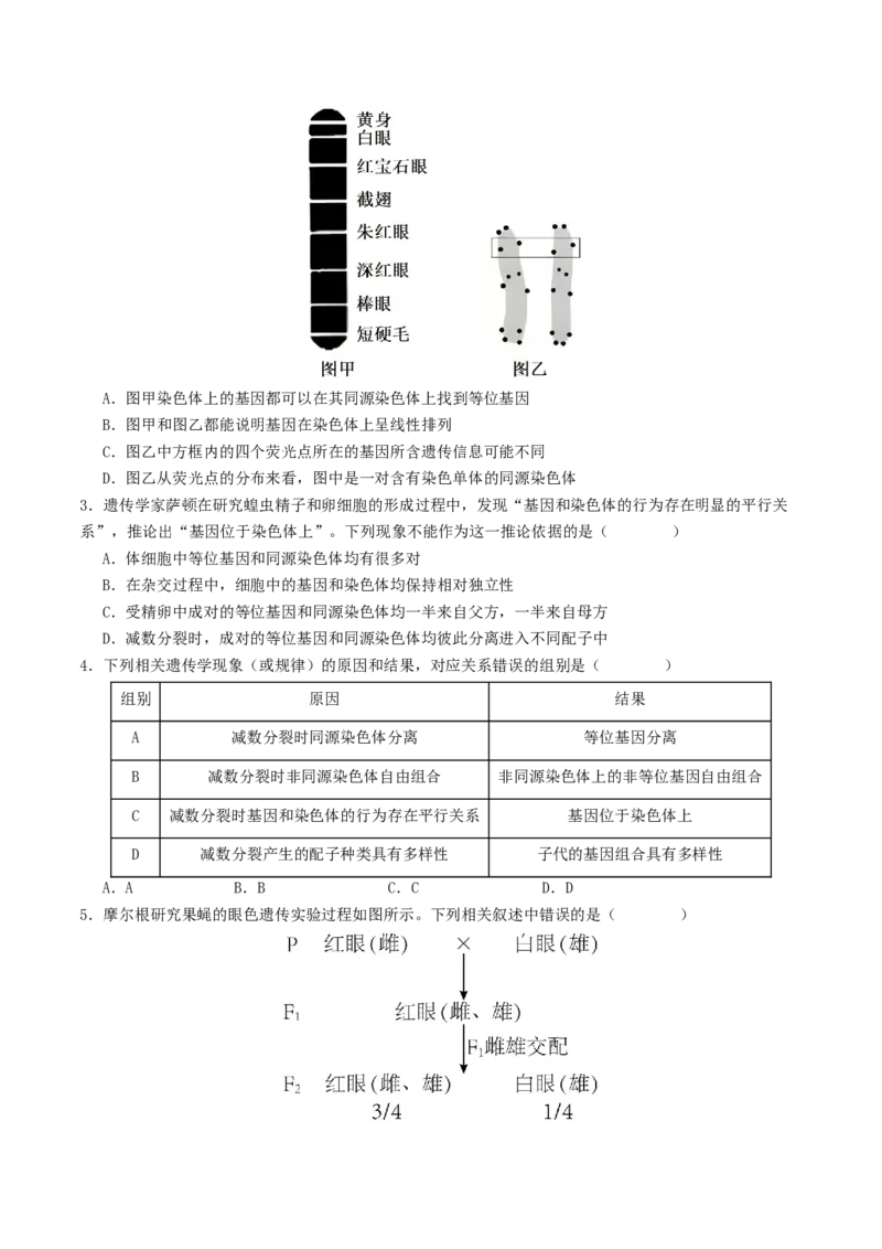 《第17讲伴性遗传和人类遗传病（专项训练）（学生版）_高考一二三轮复习_生物_2026年高考生物一轮_2026年高考生物一轮复习讲义+练习+课件（新教材新高考）-G55_2026版》第2页预览