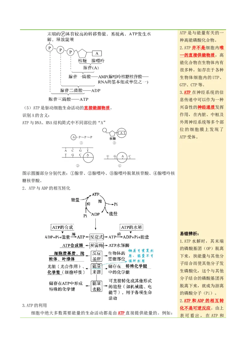 《第08讲酶和ATP（知识清单）（全国通用）（教师版）_高考一二三轮复习_生物_2027年高考生物一轮_2027年高考生物一轮课件+讲义+练习（黑吉辽蒙专用）-G330_2027版》第9页预览