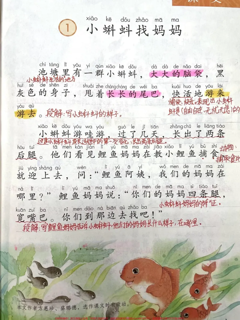 《二年级上册第一课,小蝌蚪找妈妈。#小学语文#育儿#每天跟我涨知识#每天学习一点点#二年级》第1页预览