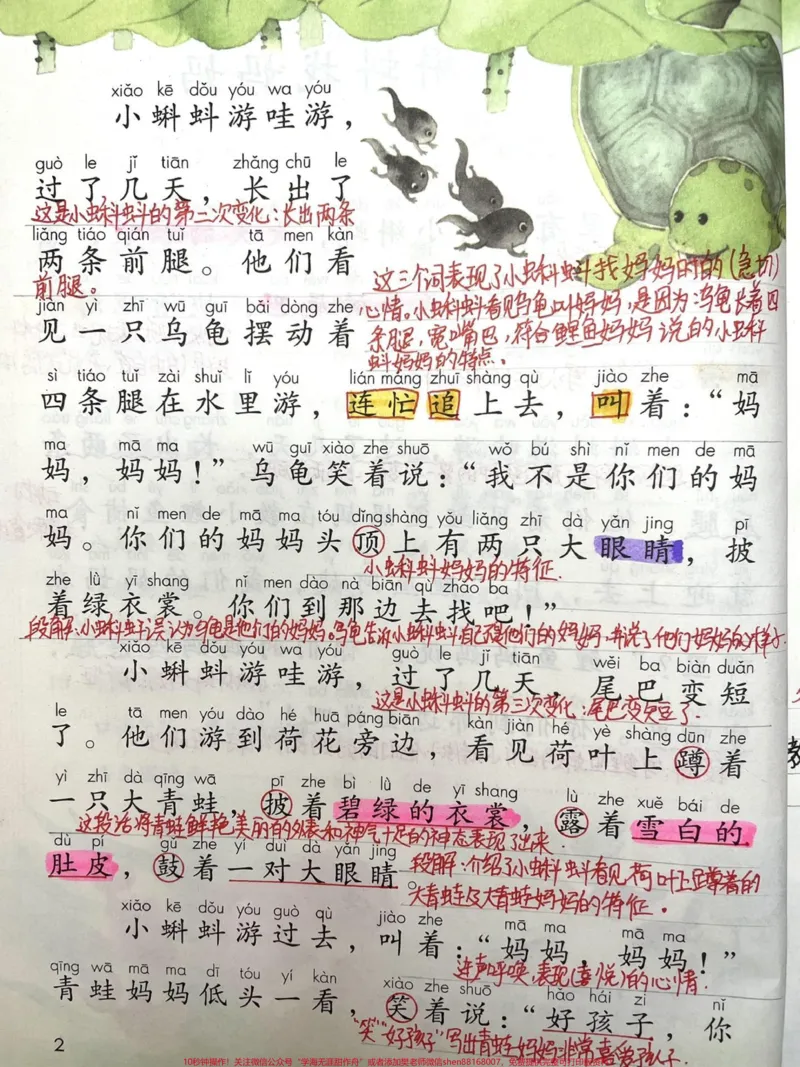 《二年级上册第一课,小蝌蚪找妈妈。#小学语文#育儿#每天跟我涨知识#每天学习一点点#二年级》第2页预览