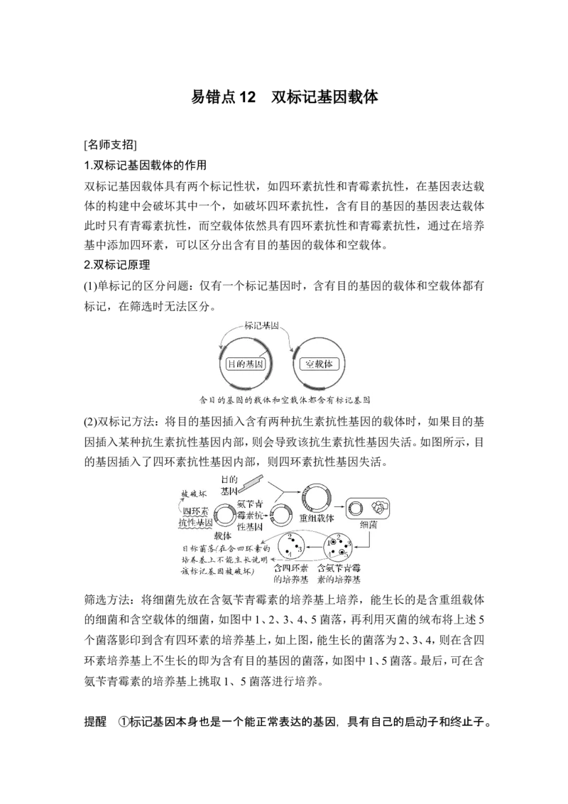 《易错点12双标记基因载体(1)_2026版高中《二三轮复习+冲刺复习》_高考生物生物二轮2026届高考生物步步高大二轮专题复习教师用书(word版)+教师用书配套PPT+题库(word版)(完整版)》第1页预览