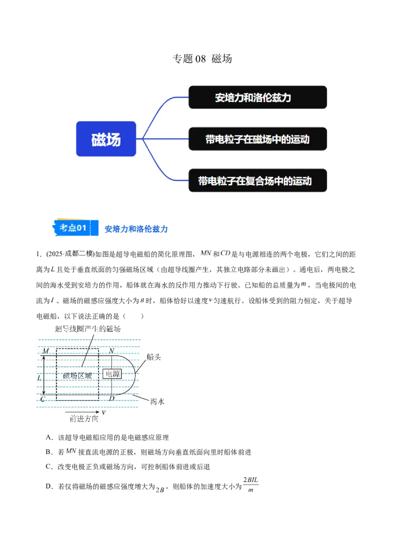 《专题08磁场（教师版）_高考一二三轮复习_物理_2026年-物理高考专项复习_2025年高考物理二模试题分类汇编（四川专用）》第1页预览