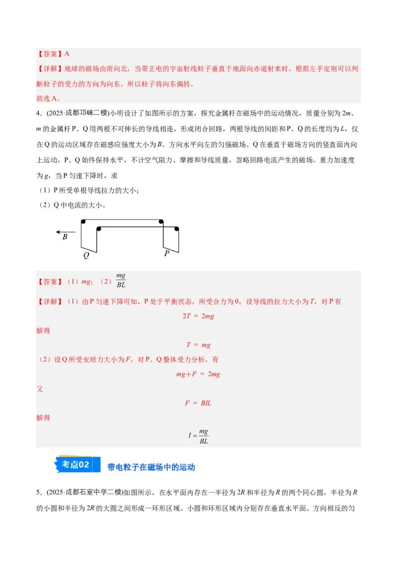 《专题08磁场（教师版）_高考一二三轮复习_物理_2026年-物理高考专项复习_2025年高考物理二模试题分类汇编（四川专用）》第3页预览