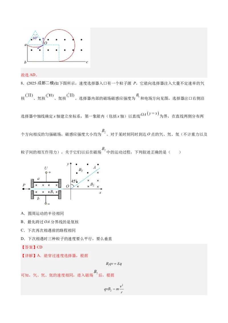 《专题08磁场（教师版）_高考一二三轮复习_物理_2026年-物理高考专项复习_2025年高考物理二模试题分类汇编（四川专用）》第8页预览