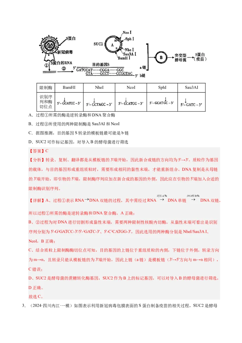 《专题21生物技术的安全与伦理（教师版）_高考一二三轮复习_生物_2026年-生物高考专项复习_2025年高考生物一模试题分类汇编（四川专用）》第2页预览