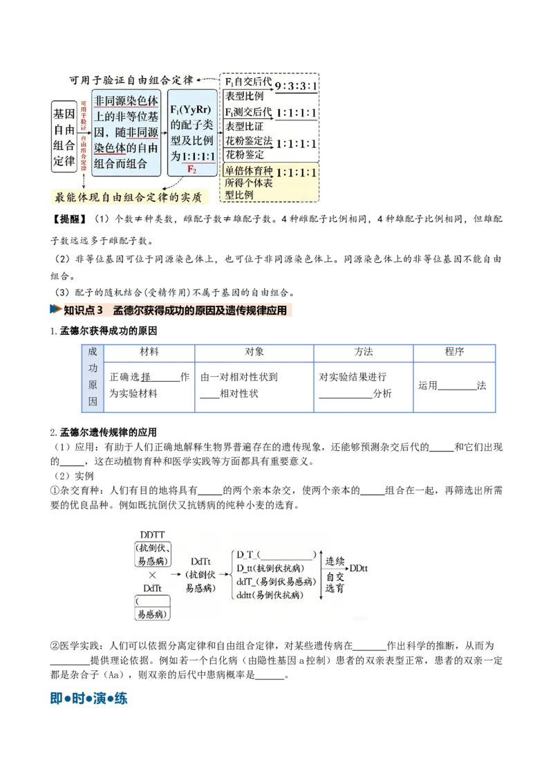 《第16讲自由组合定律（复习讲义）（全国通用）（学生版）_高考一二三轮复习_生物_2027年高考生物一轮_2027年高考生物一轮复习讲义+练习+课件（新教材新高考）-G55_2027版》第8页预览
