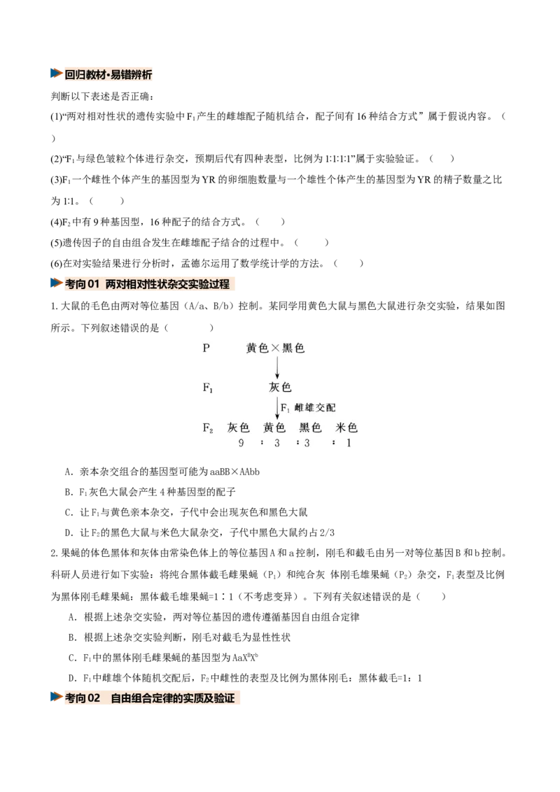 《第16讲自由组合定律（复习讲义）（全国通用）（学生版）_高考一二三轮复习_生物_2027年高考生物一轮_2027年高考生物一轮复习讲义+练习+课件（新教材新高考）-G55_2027版》第9页预览