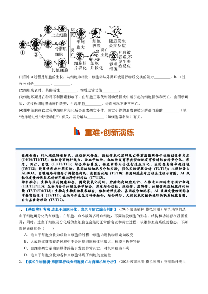 《第14讲细胞的分化、衰老和死亡（专项训练）（全国通用）（试题版）_高考一二三轮复习_生物_2027年高考生物一轮_2027年高考生物一轮复习讲义+练习+课件（新教材新高考）-G55_2027版》第5页预览