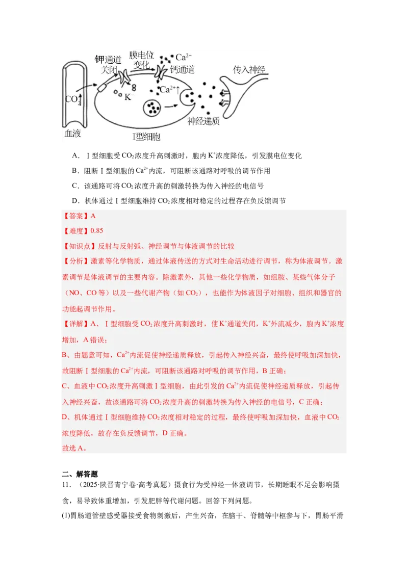 《专题09体液调节（教师版）_高考一二三轮复习_生物_2026年-生物高考专项复习_2025年高考真题和模拟题生物分类汇编（全国通用）-G70》第10页预览