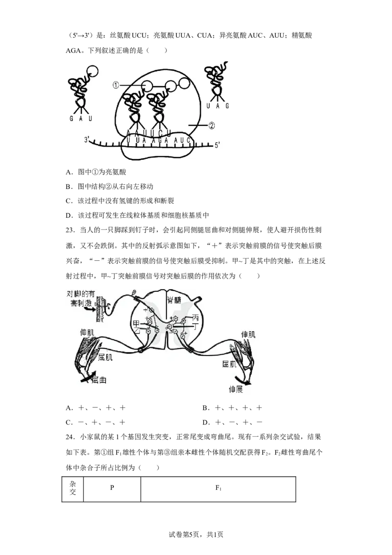 《浙江省2021年1月选考生物试题(1)_2026版高中《二三轮复习+冲刺复习》_高考生物生物二轮2026届高考生物步步高大二轮专题复习教师用书(word版)+教师用书配套PPT+题库(word版)(完整版)》第5页预览