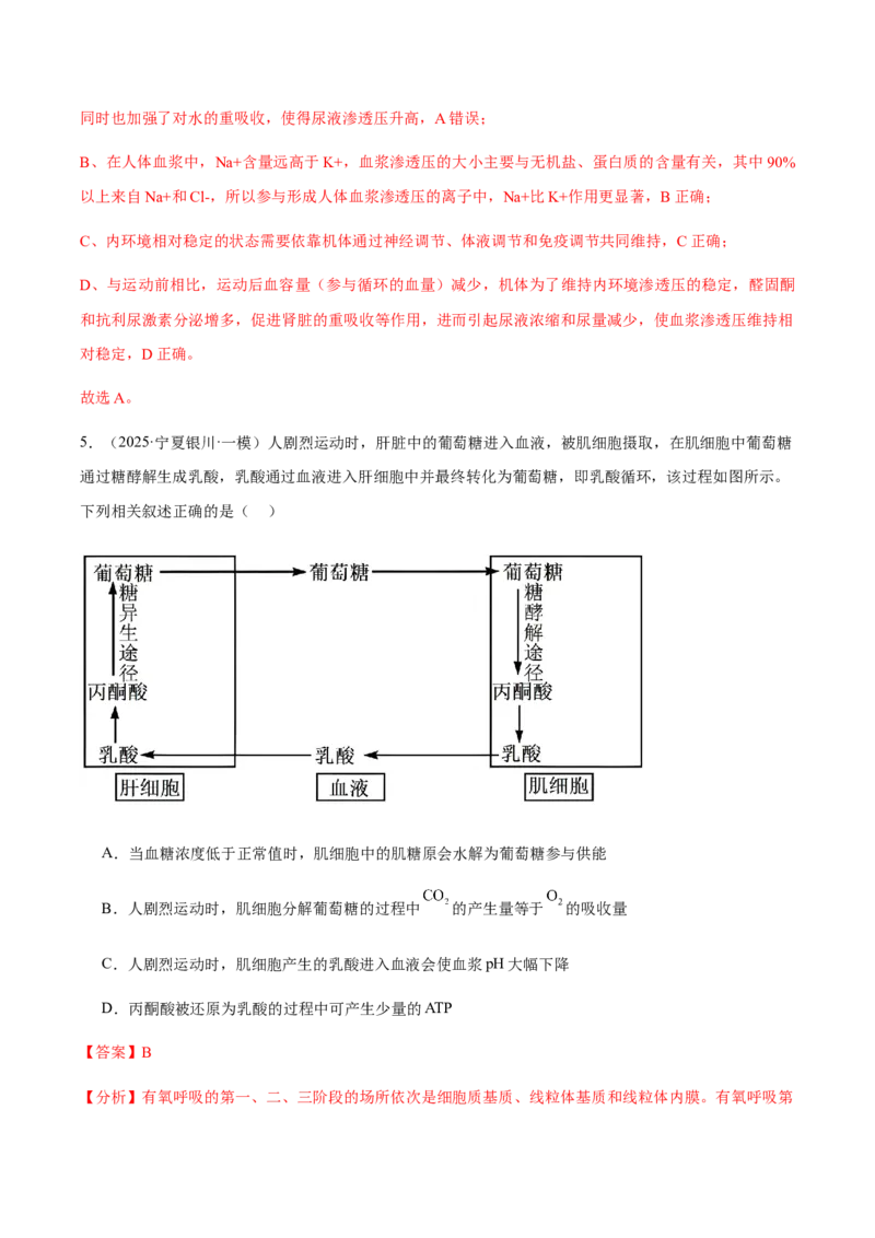 《专题08内环境和神经调节（教师版）_高考一二三轮复习_生物_2026年-生物高考专项复习_2025年高考生物一模试题分类汇编（新高考通用）》第4页预览