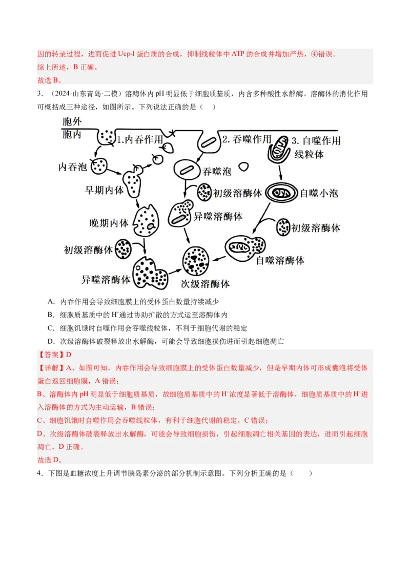 《第08讲物质进出细胞方式及影响因素（专项训练）（安徽专用）（教师版）_高考一二三轮复习_生物_2026年高考生物一轮_2026年高考生物一轮课件+讲义+练习（安徽专用）-G326》第10页预览
