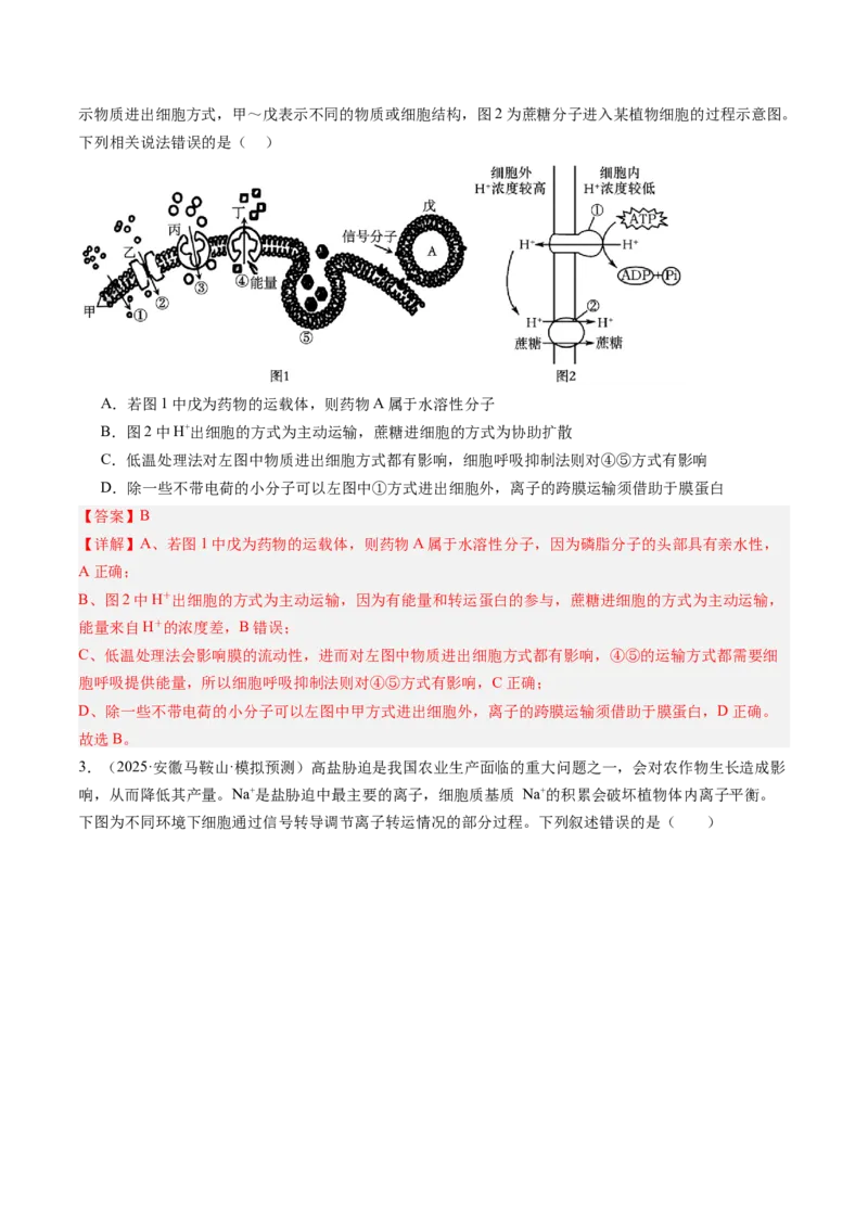 《第08讲物质进出细胞方式及影响因素（专项训练）（安徽专用）（教师版）_高考一二三轮复习_生物_2026年高考生物一轮_2026年高考生物一轮课件+讲义+练习（安徽专用）-G326》第2页预览