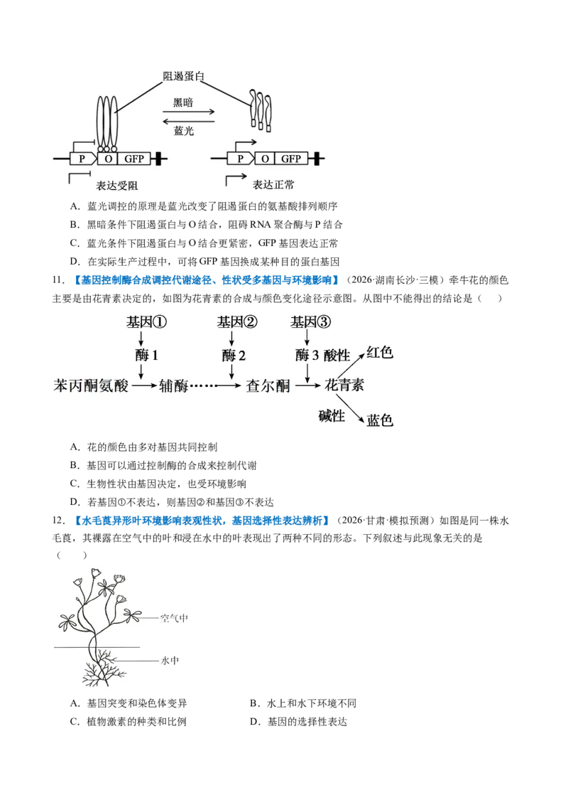 《第21讲基因的表达、基因与性状的关系（专项训练）（全国通用）（试题版）_高考一二三轮复习_生物_2027年高考生物一轮_2027年高考生物一轮复习讲义+练习+课件（新教材新高考）-G55_2027版》第4页预览