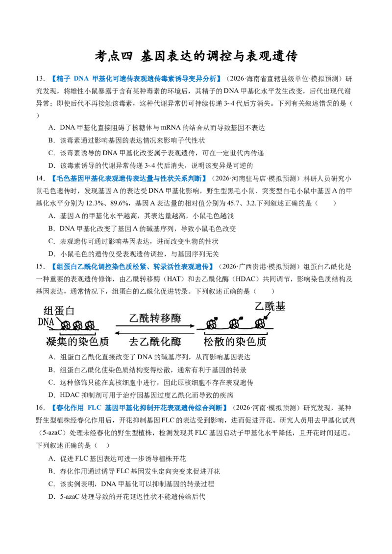 《第21讲基因的表达、基因与性状的关系（专项训练）（全国通用）（试题版）_高考一二三轮复习_生物_2027年高考生物一轮_2027年高考生物一轮复习讲义+练习+课件（新教材新高考）-G55_2027版》第5页预览