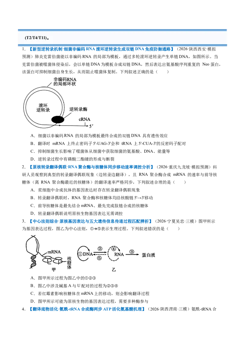 《第21讲基因的表达、基因与性状的关系（专项训练）（全国通用）（试题版）_高考一二三轮复习_生物_2027年高考生物一轮_2027年高考生物一轮复习讲义+练习+课件（新教材新高考）-G55_2027版》第7页预览