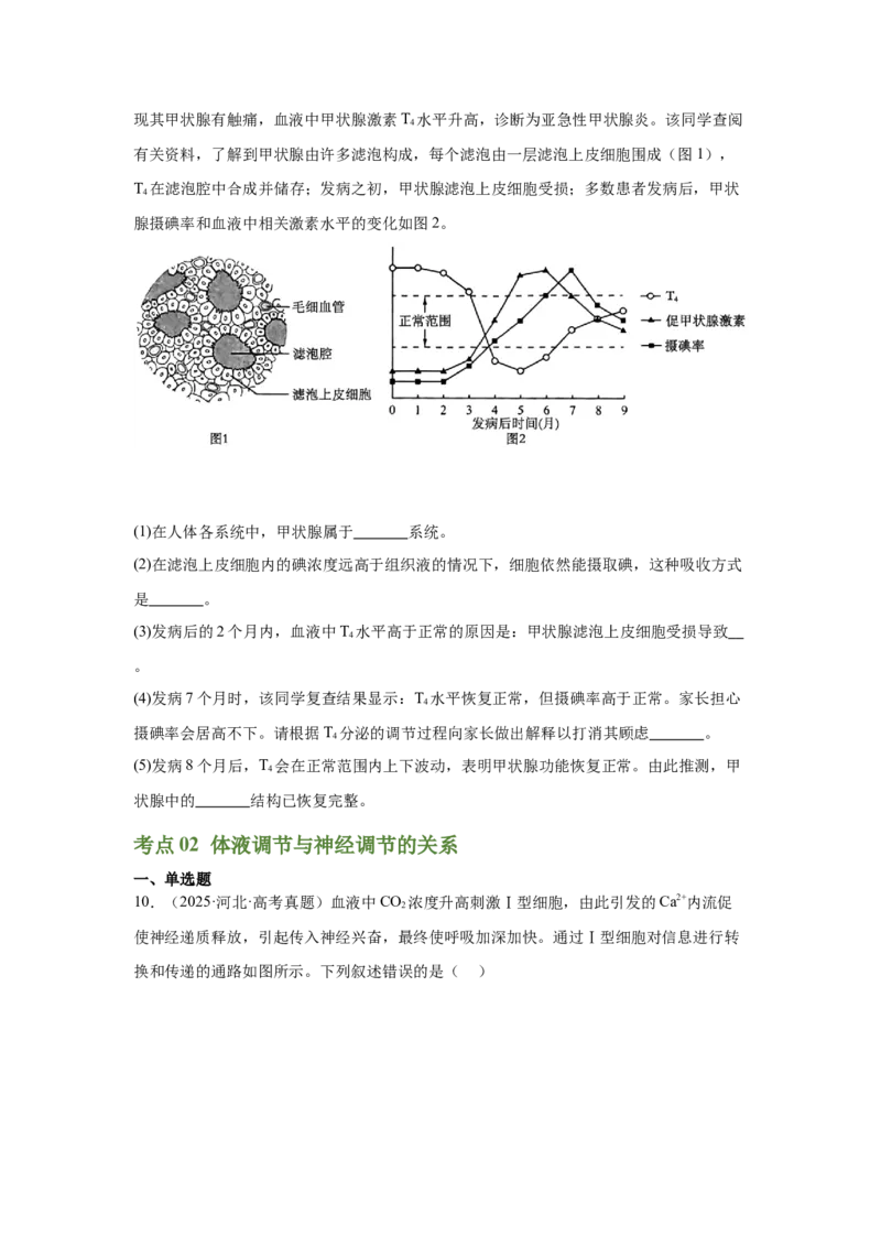 《专题09体液调节（学生版）_高考一二三轮复习_生物_2026年-生物高考专项复习_2025年高考真题和模拟题生物分类汇编（全国通用）-G70》第4页预览