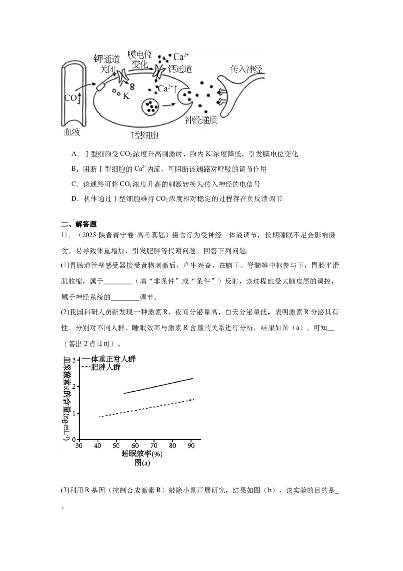 《专题09体液调节（学生版）_高考一二三轮复习_生物_2026年-生物高考专项复习_2025年高考真题和模拟题生物分类汇编（全国通用）-G70》第5页预览