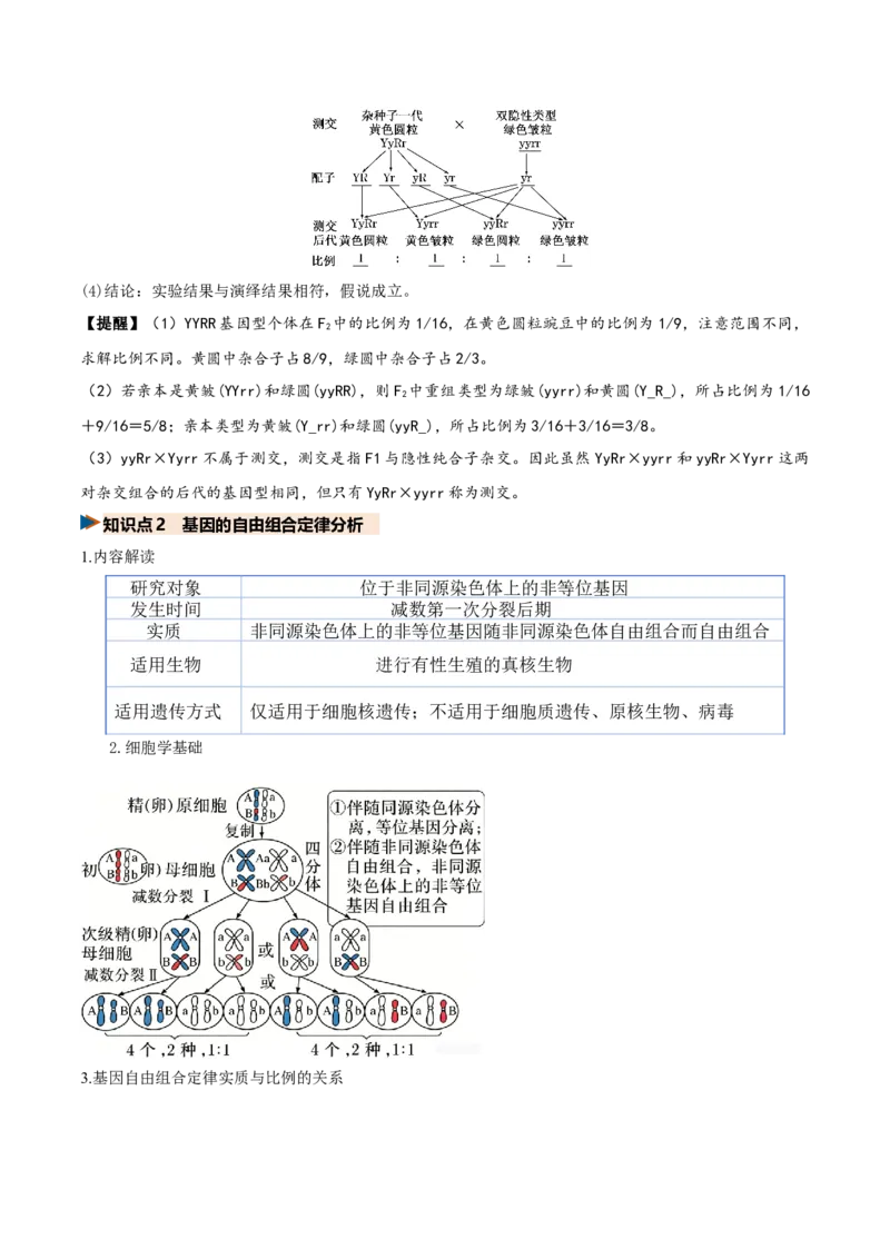 《第16讲自由组合定律（复习讲义）（全国通用）（教师版）_高考一二三轮复习_生物_2027年高考生物一轮_2027年高考生物一轮复习讲义+练习+课件（新教材新高考）-G55_2027版》第7页预览