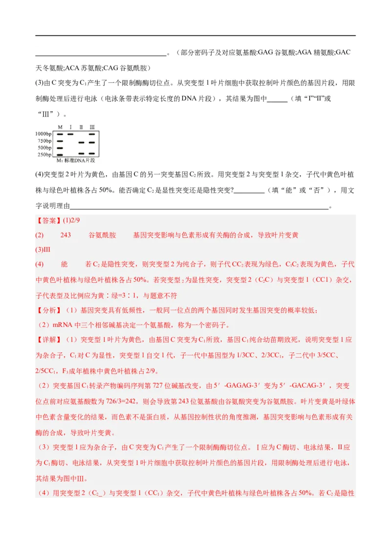 《专题06变异与进化（讲义）（解析版）_初高中资料库_高中资料库（转存避免链接过期失效）_高中生物》第4页预览