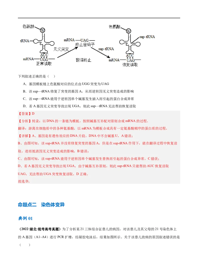 《专题06变异与进化（讲义）（解析版）_初高中资料库_高中资料库（转存避免链接过期失效）_高中生物》第6页预览