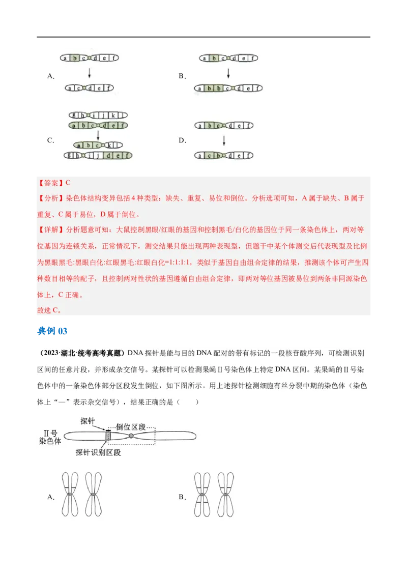 《专题06变异与进化（讲义）（解析版）_初高中资料库_高中资料库（转存避免链接过期失效）_高中生物》第8页预览