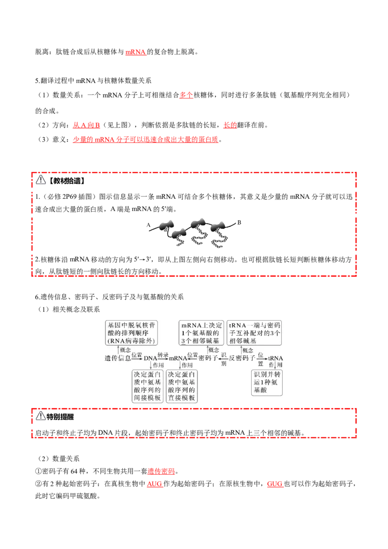 《第21讲基因的表达、基因与性状的关系（知识清单）（全国通用）（教师版）_高考一二三轮复习_生物_2026年高考生物一轮_2026年高考生物一轮复习知识清单（全国通用）-G56_2026版》第6页预览
