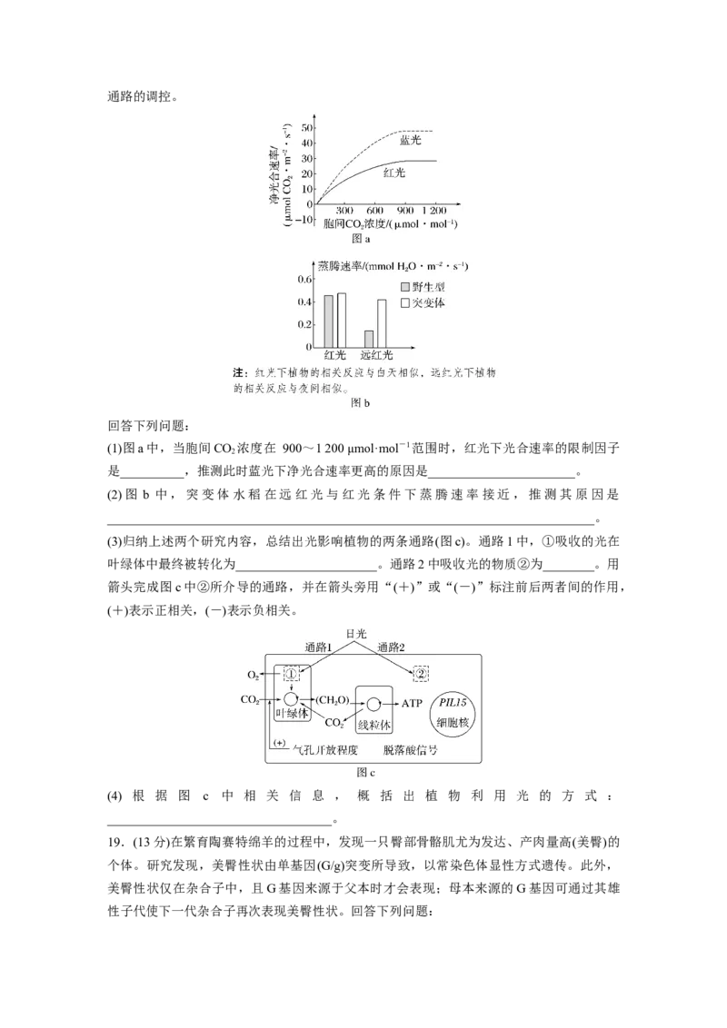 《生物2025年高考真题——广东卷（精校版）(1)_2026版高中《二三轮复习+冲刺复习》_2021-2025生物高考题_2025生物高考题_学生》第6页预览