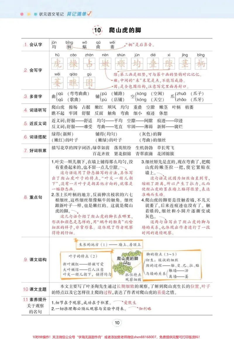 《#四年级上册语文状元笔记(背记清单)#学习资料分享#知识点总结#必考考点#学霸秘籍_最新小学1-9年级各科+幼升小+综合类学习资源汇总包_四年级一线老师整理版资源（全网独家）》第10页预览