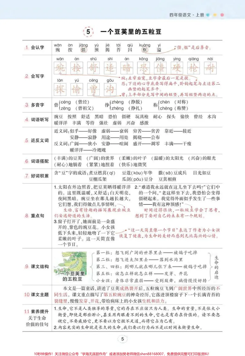 《#四年级上册语文状元笔记(背记清单)#学习资料分享#知识点总结#必考考点#学霸秘籍_最新小学1-9年级各科+幼升小+综合类学习资源汇总包_四年级一线老师整理版资源（全网独家）》第5页预览